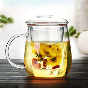 Zen Room Borosilicate Glass Tea Cup with Infuser and Lid/Portable Glass Tea Pot and Tea Maker/ Heat Resistant and Dishwasher Safe (16oz Single Glass)